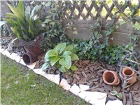 d2b16607-2016-05-06 17.17.06.jpg